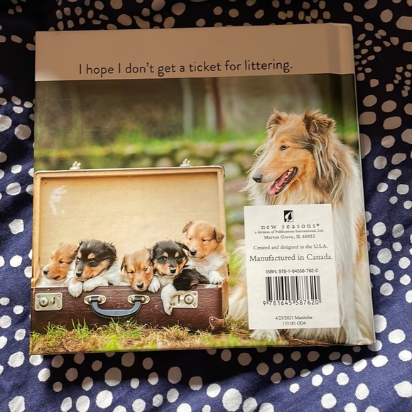 Animal Puns: Quack Me Up Book - Picture 6 of 7